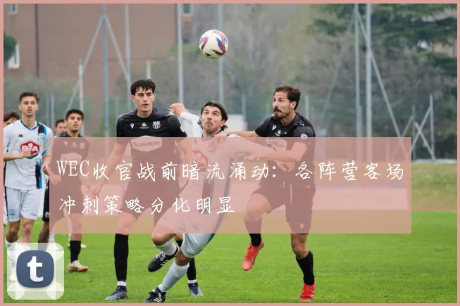 WEC收官战前暗流涌动：各阵营客场冲刺策略分化明显